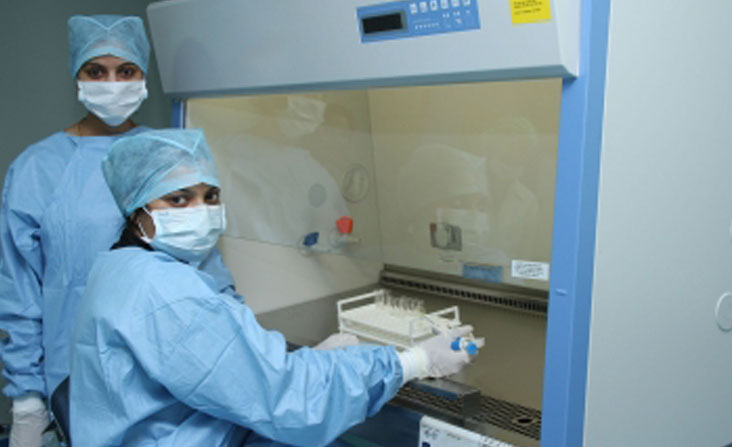 Stem Cell Clinical Research